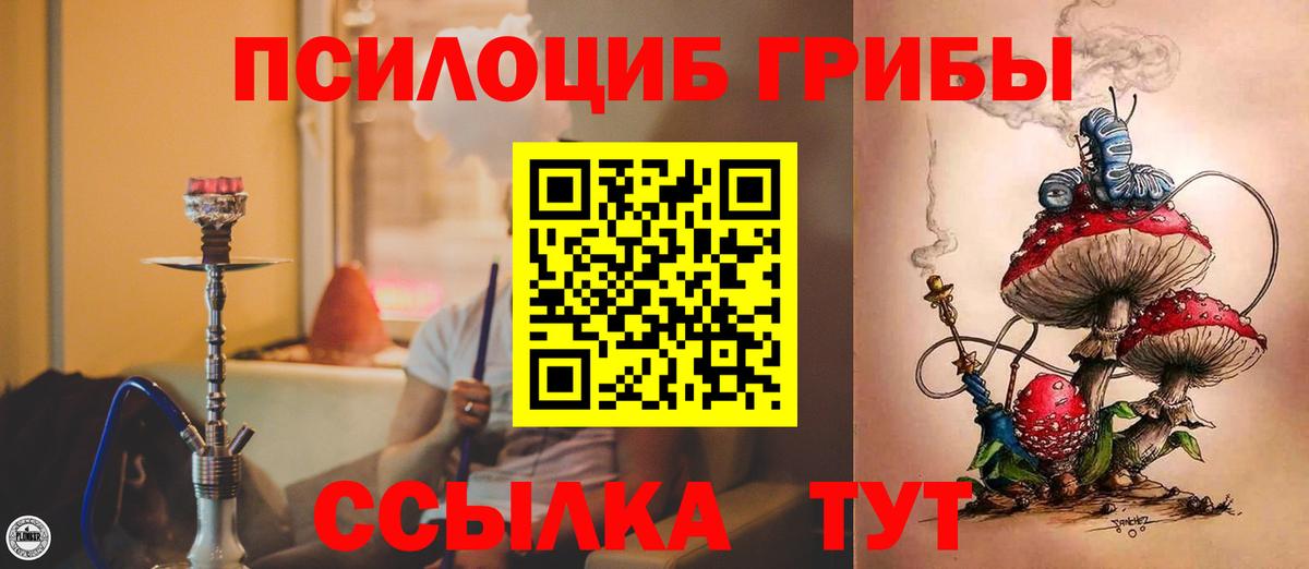 Галлюциногенные грибы Psilocybine cubensis Набережные Челны